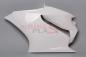 Preview: Bikesplast Seitenteil links Ducati Panigale 899/1199