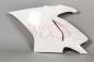 Preview: Bikesplast Seitenteil links Ducati V4