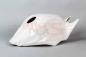 Preview: Bikesplast Tankhaube Hondas CBR1000RR 2017-2019