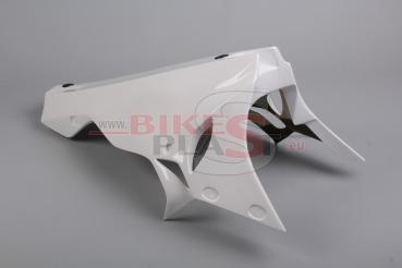 Bikesplast Unterteil für Original Auspuffanlage BMW S1000RR 2015-2018
