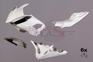 Bikesplast Rennverkleidung UT-original Auspuff BMW S1000RR 2015-2018