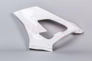Bikesplast Seitenteil links BMW S1000RR 2019+