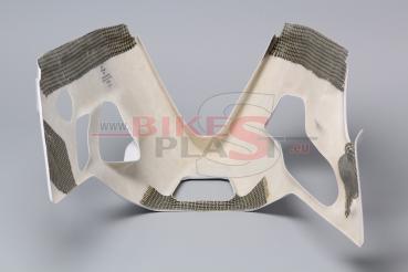 Bikesplast Unterteil Ducati Panigale 899/1199