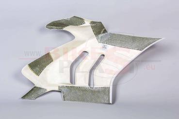 Bikesplast Seitenteil links Ducati V4R