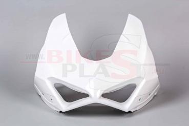 Bikesplast Oberteil Racing Ducati V4