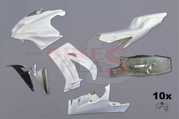 Bikesplast Rennverkleidung UT-original Kawasaki ZX10R 2016+