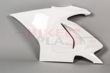 Bikesplast Seitenteil links Ducati V4