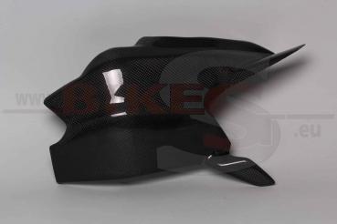 Carbon Schwingenschoner Ducati Panigale 1299