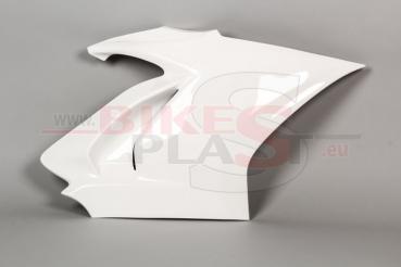 Bikesplast Seitenteil rechts Ducati V4